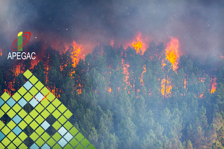 APEGAC defende que condomínios assumam a responsabilidade do seguro contra incêndios APEGAC defende que condomínios assumam a responsabilidade do seguro contra incêndios