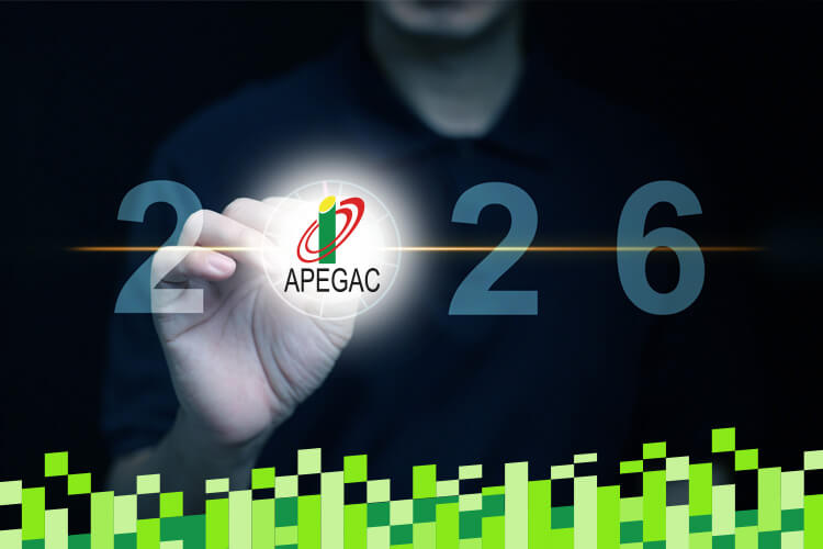 NOVO ANO, ESPERANÇA RENOVADA