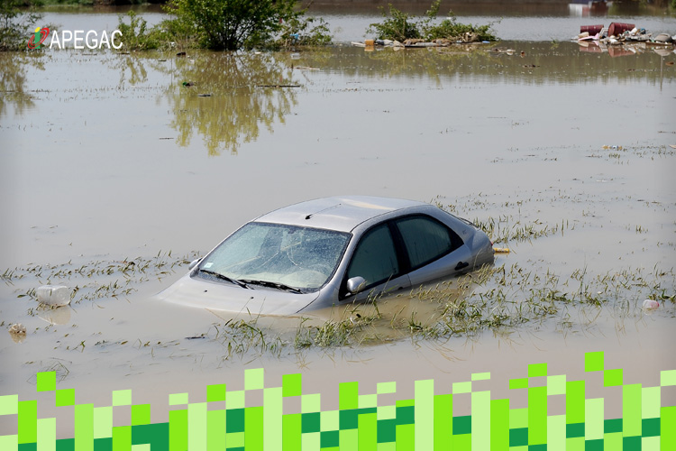 Medidas de Apoio em Consequência das últimas tempestades